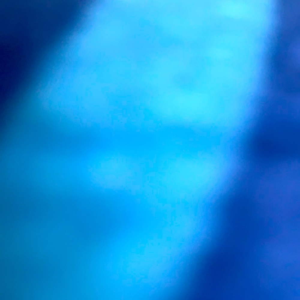 Meet your posher!❤️🧡💛💚💙💜